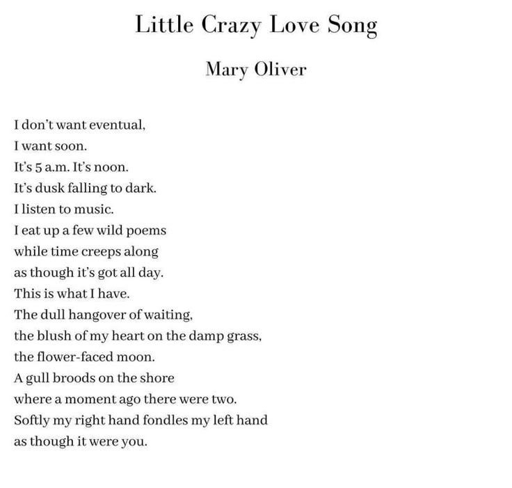Little Crazy Love Song